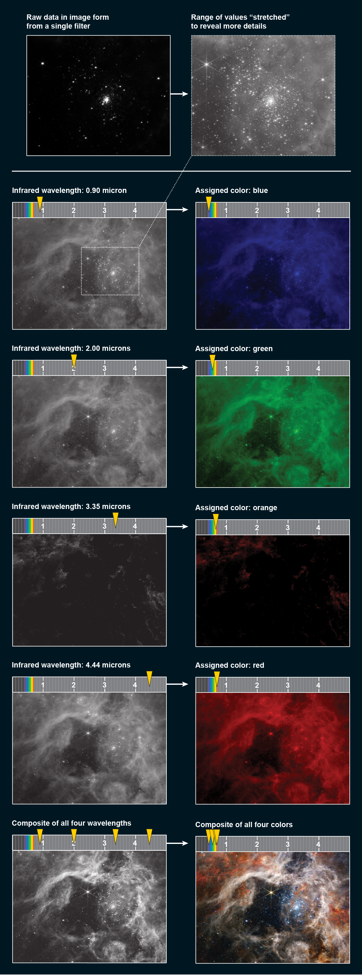 Gráfico de imágenes JWST.