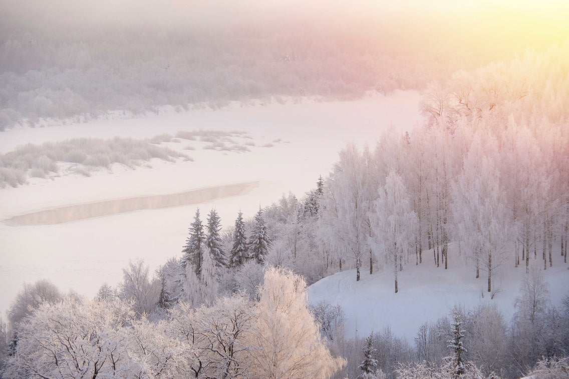 La niebla helada invernal cubre un río y un bosque de abedules. 